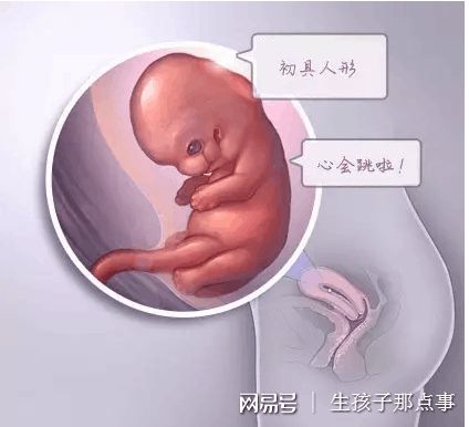 借精试管助孕
